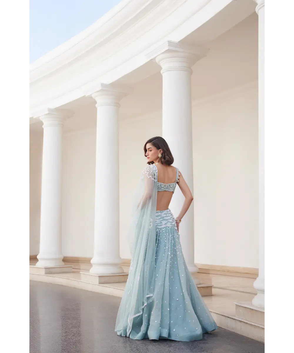 SANYA GULATI- Powder Blue Organza Skirt and Bustier